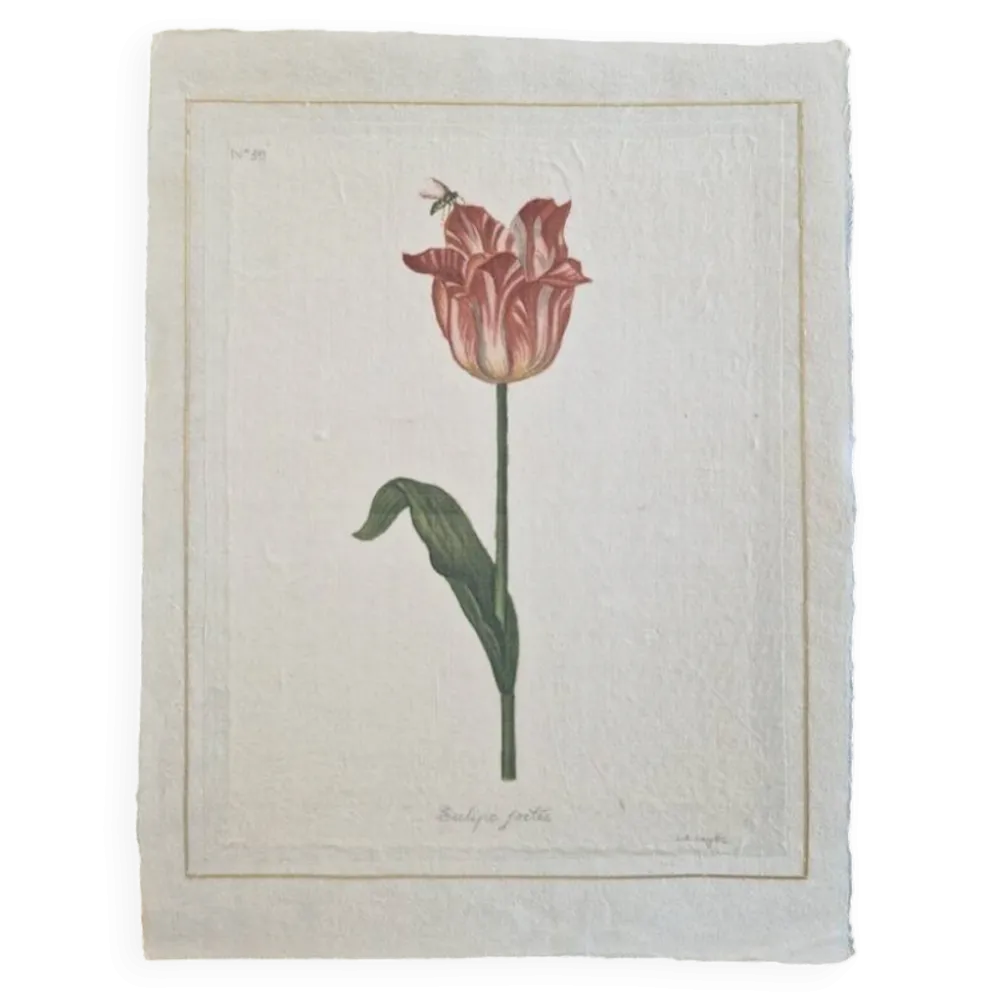 Dessin à l'aquarelle sur soie - Tulipe - La Roche Laffitte (Né en 1943)