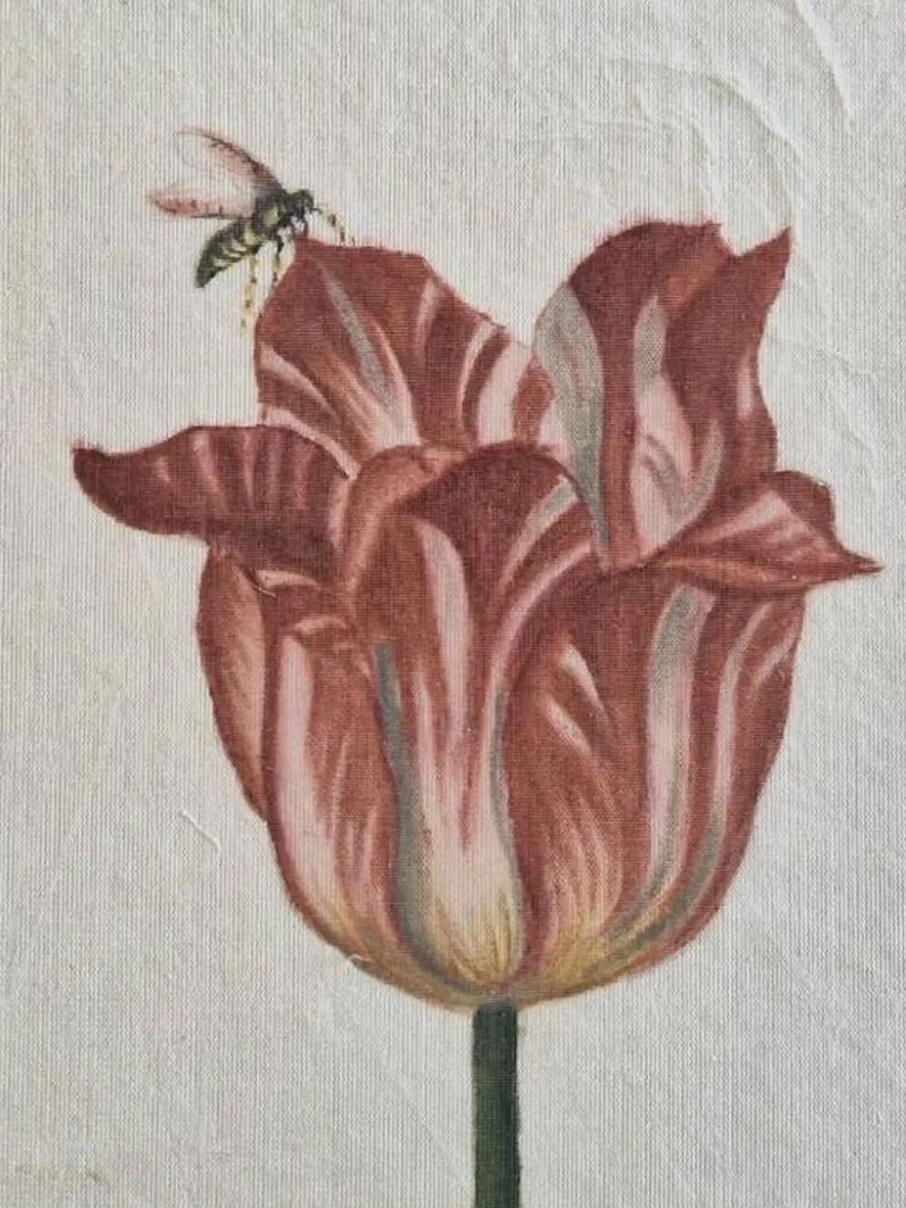Dessin à l'aquarelle sur soie - Tulipe - La Roche Laffitte (Né en 1943)