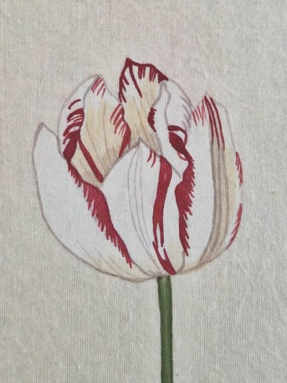 Dessin à l'aquarelle sur soie - Tulipe - La Roche Laffitte (Né en 1943)