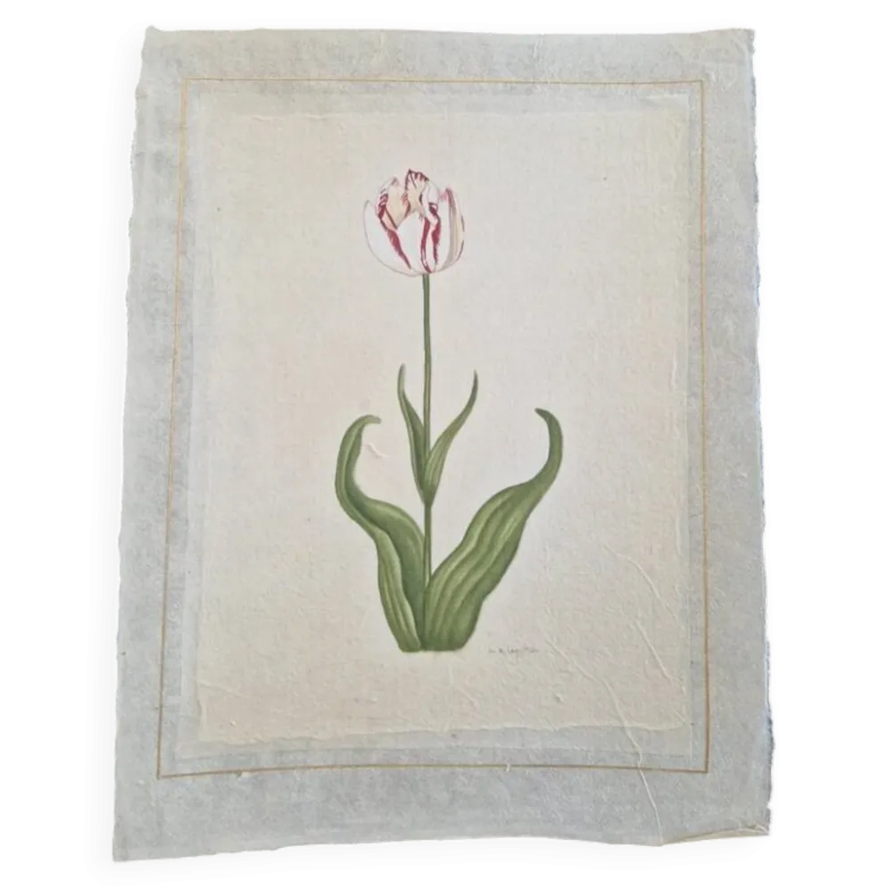 Dessin à l'aquarelle sur soie - Tulipe - La Roche Laffitte (Né en 1943)