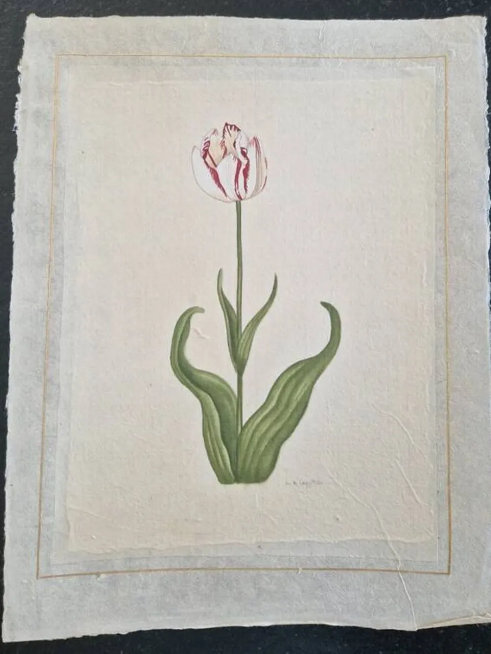 Dessin à l'aquarelle sur soie - Tulipe - La Roche Laffitte (Né en 1943)