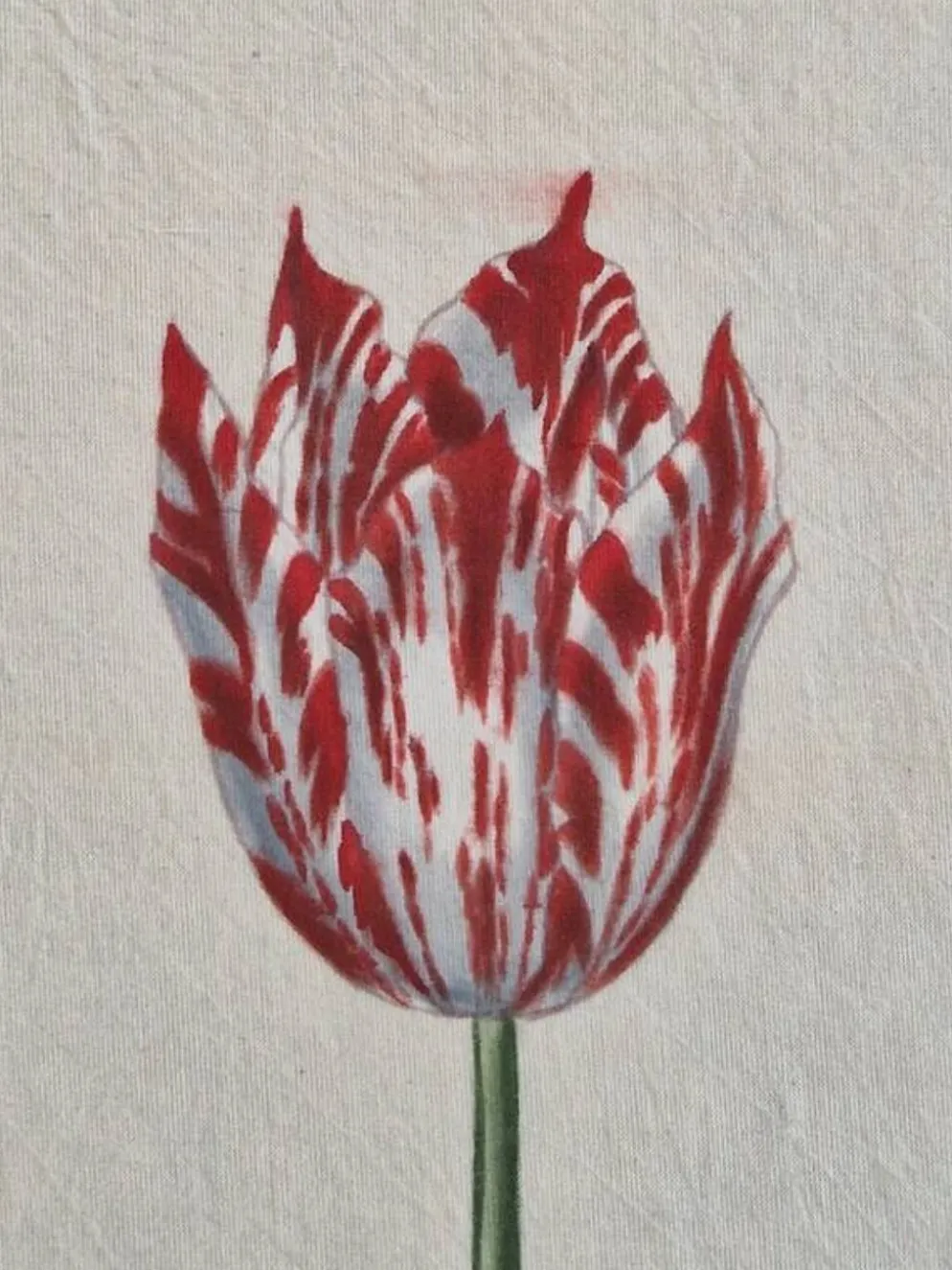 Dessin à l'aquarelle sur soie - Tulipe - La Roche Laffitte (Né en 1943)