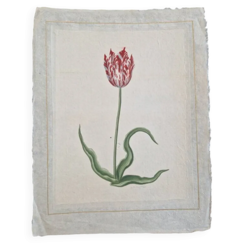 Dessin à l'aquarelle sur soie - Tulipe - La Roche Laffitte (Né en 1943)