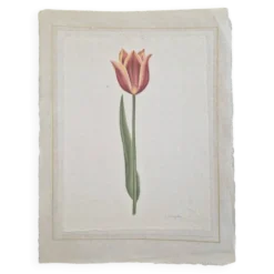 Dessin à l'aquarelle sur soie - Tulipe - La Roche Laffitte (Né en 1943)