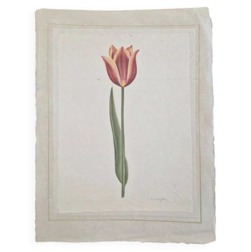 Dessin à l'aquarelle sur soie - Tulipe - La Roche Laffitte (Né en 1943)