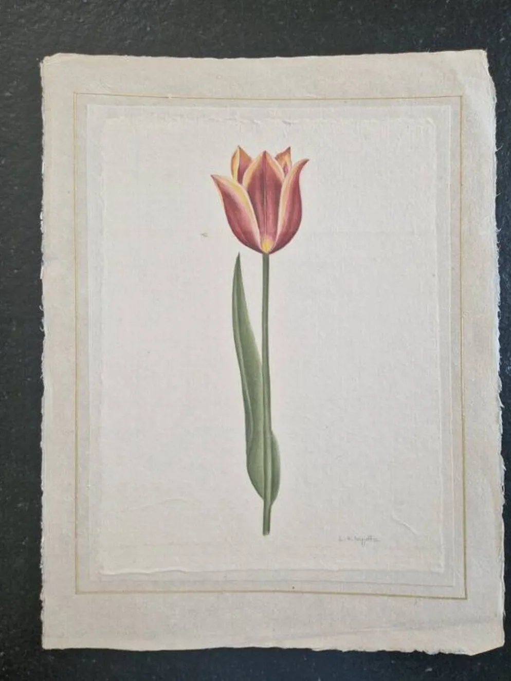 Dessin à l'aquarelle sur soie - Tulipe - La Roche Laffitte (Né en 1943)