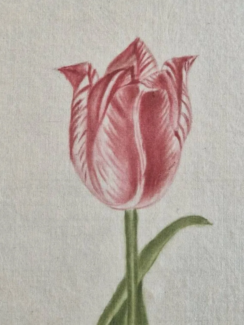 Dessin à l'aquarelle sur soie - Tulipe - La Roche Laffitte (Né en 1943)