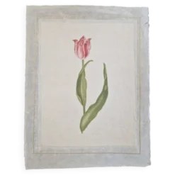 Dessin à l'aquarelle sur soie - Tulipe - La Roche Laffitte (Né en 1943)