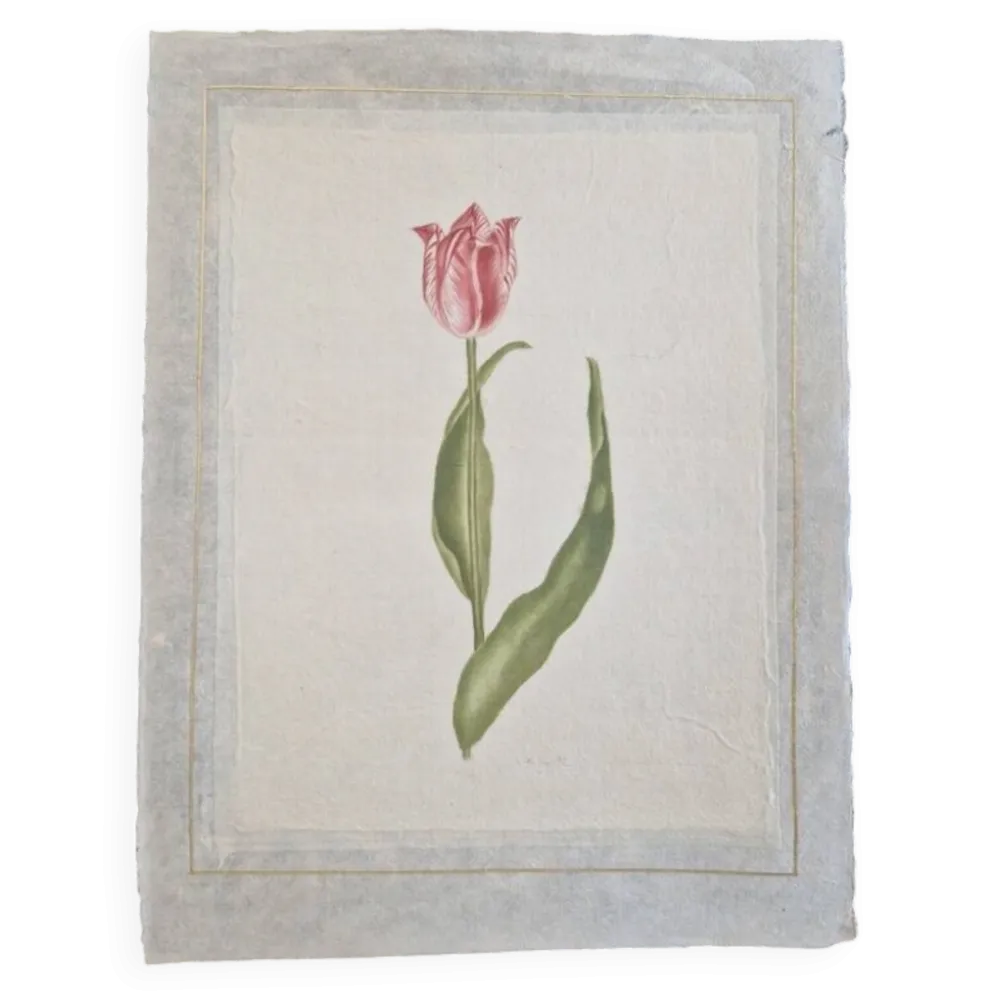 Dessin à l'aquarelle sur soie - Tulipe - La Roche Laffitte (Né en 1943)