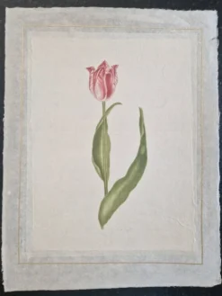 Dessin à l'aquarelle sur soie - Tulipe - La Roche Laffitte (Né en 1943)