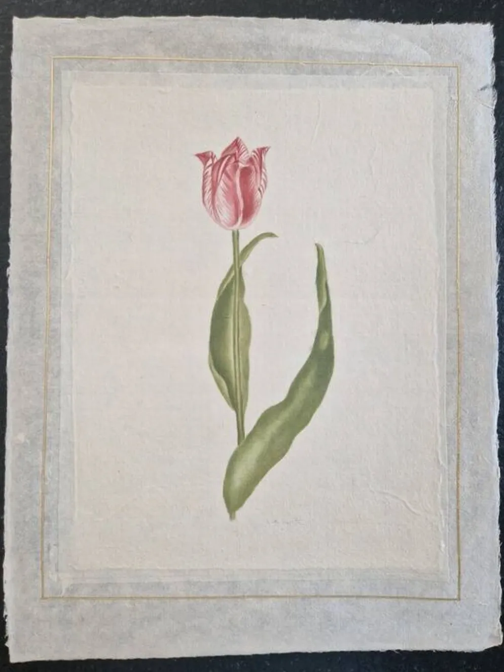Dessin à l'aquarelle sur soie - Tulipe - La Roche Laffitte (Né en 1943)