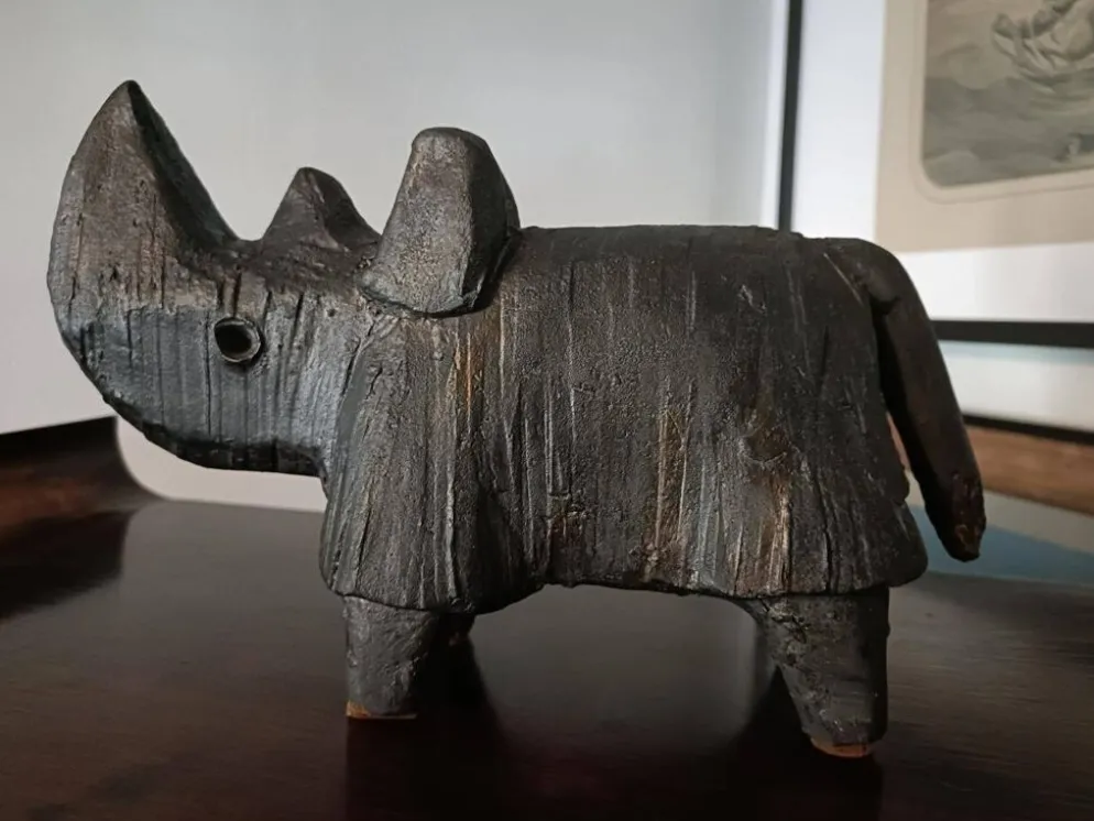 Dominique Pouchain - Rhinocéros