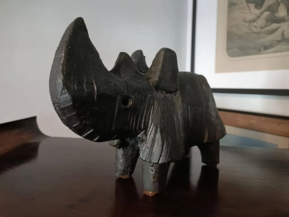 Dominique Pouchain - Rhinocéros