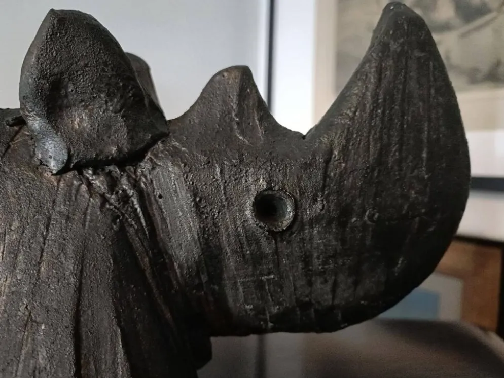 Dominique Pouchain - Rhinocéros