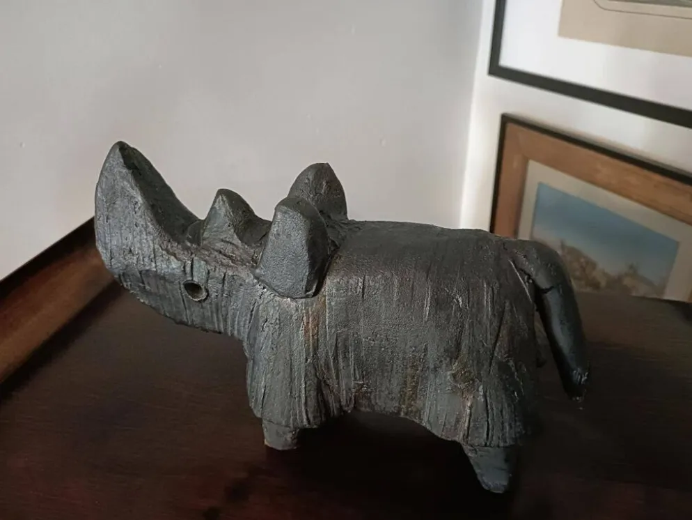 Dominique Pouchain - Rhinocéros