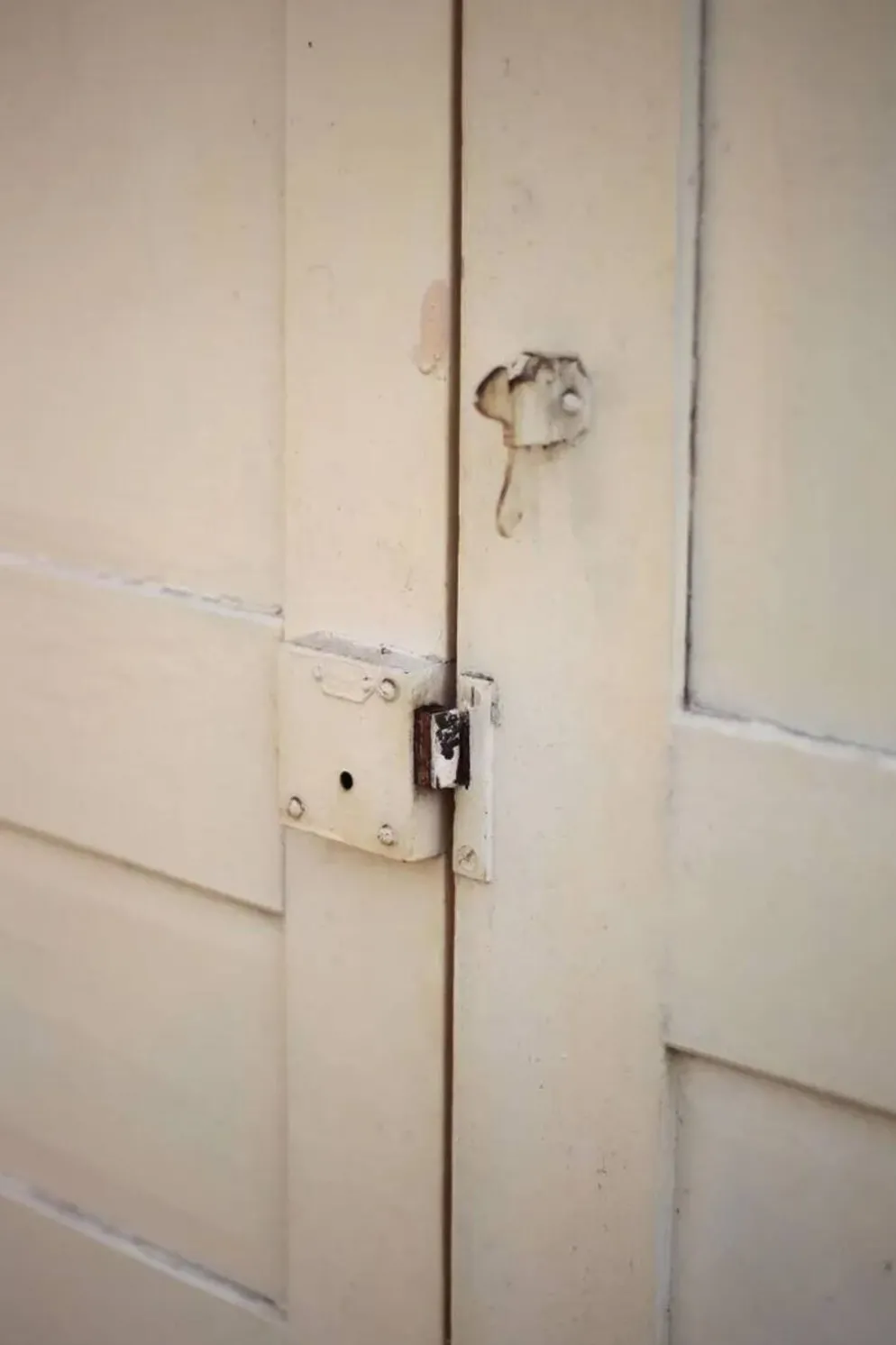 Double porte ancienne de placard, porte bois ancienne, grande porte vintage, porte d'intérieur