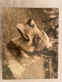 Duo de Photographies Vintage (Années 70/80) sur Panneaux – Chalutier "