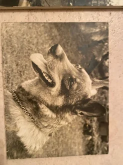 Duo de Photographies Vintage (Années 70/80) sur Panneaux – Chalutier "