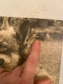 Duo de Photographies Vintage (Années 70/80) sur Panneaux – Chalutier 