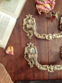 Duo de poignées style Louis XV en bronze