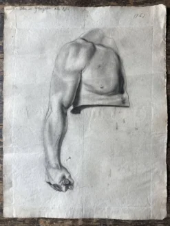 Etude antomique néo classique d’atelier fin 19e, Paris Montparnasse