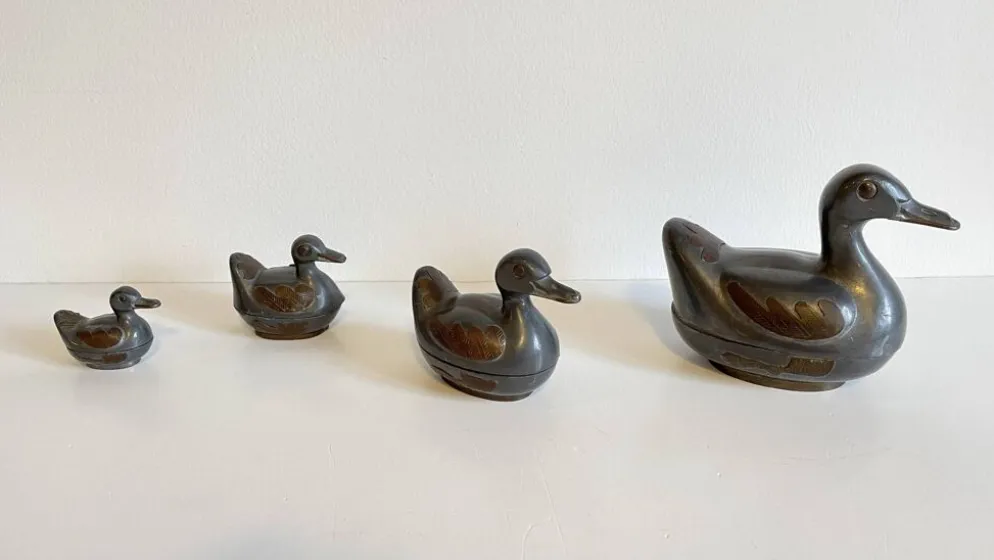Famille CANARDS Vintage