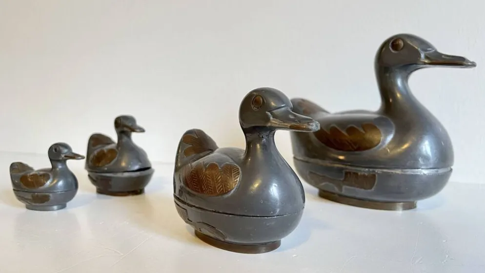 Famille CANARDS Vintage