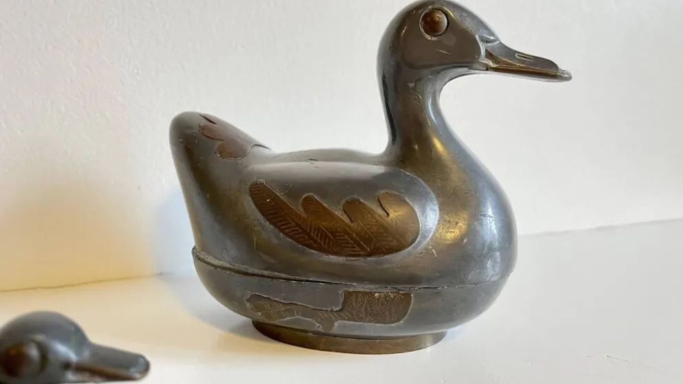 Famille CANARDS Vintage