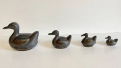 Famille CANARDS Vintage