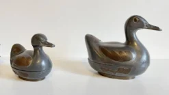 Famille CANARDS Vintage