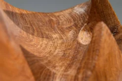 Forme sculpturale en chêne solide