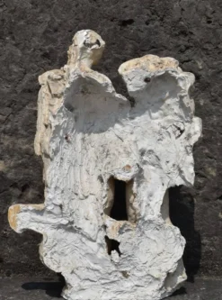 François Antoine Roume, Gyptis et Protis, le mythe fondateur de Marseille