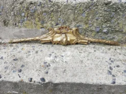 fronton ancien bronze