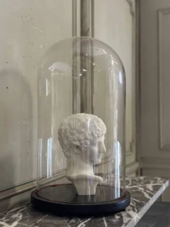 Globe en verre sur sa base en bois noirci, vers 1880