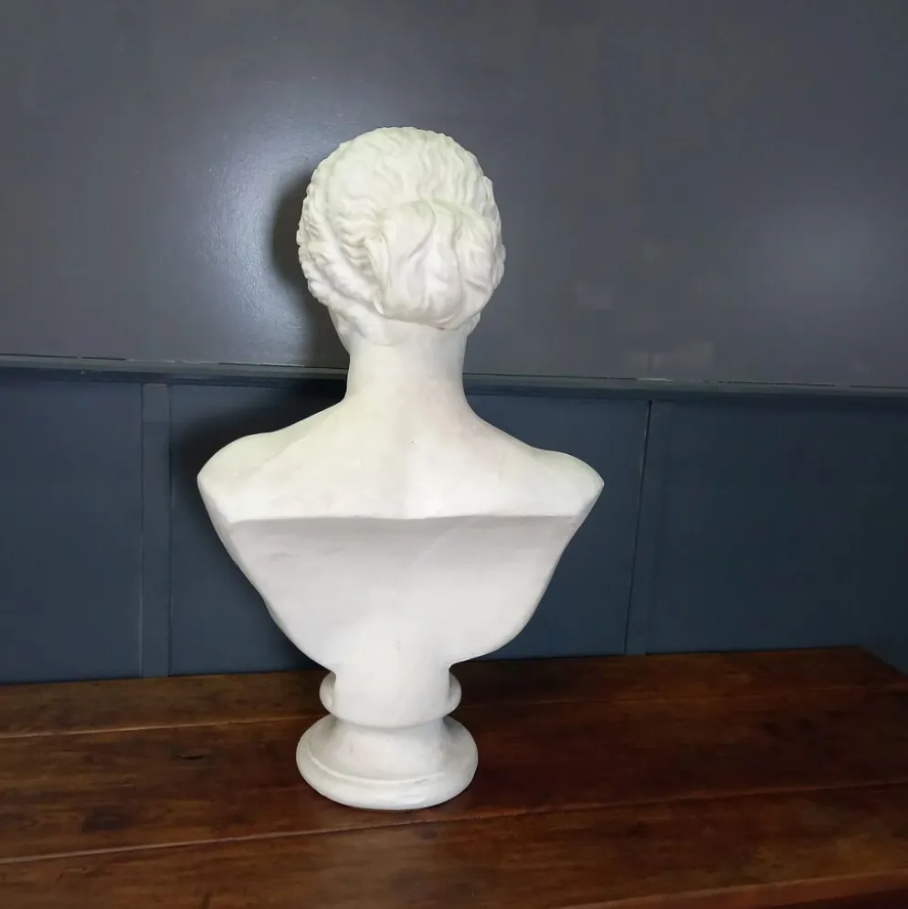 Grand buste de Vénus de Milo