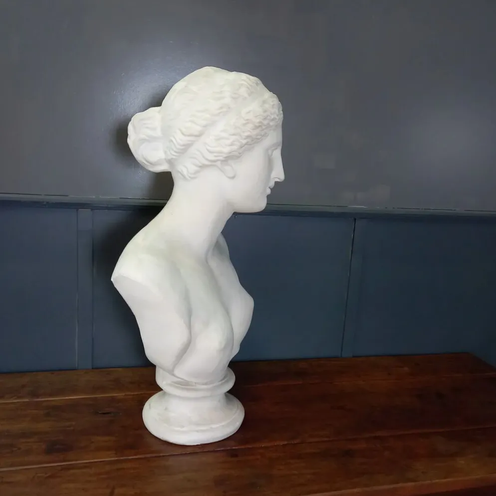 Grand buste de Vénus de Milo