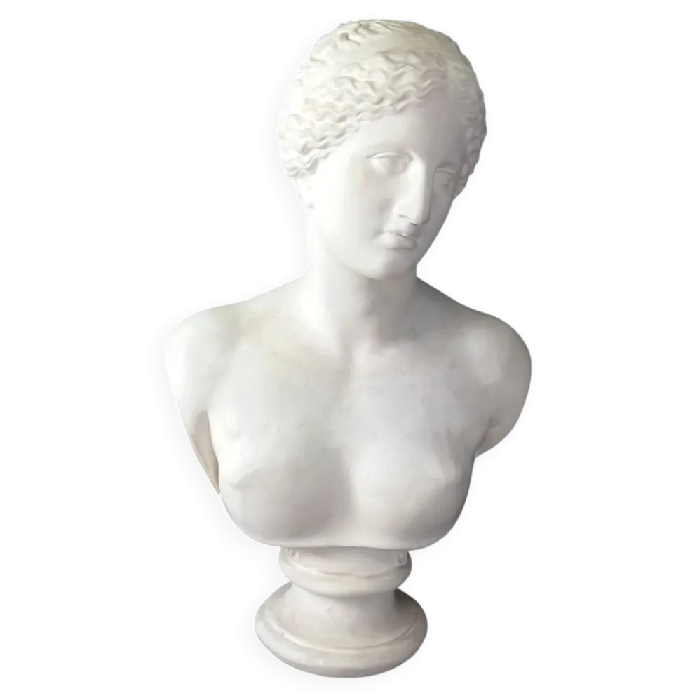 Grand buste de Vénus de Milo