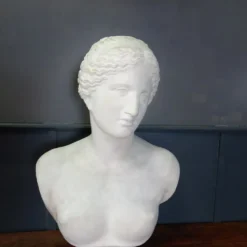 Grand buste de Vénus de Milo