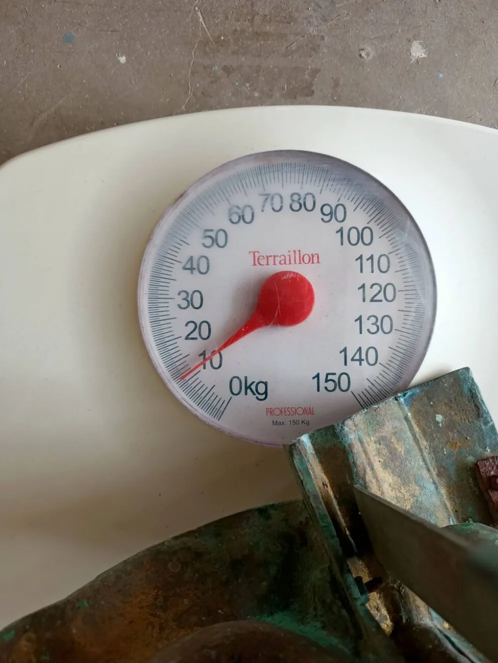 Grand Devant Cheminée Bronze 49cm 11kg - Marqué DB 539 - Barre 113cm