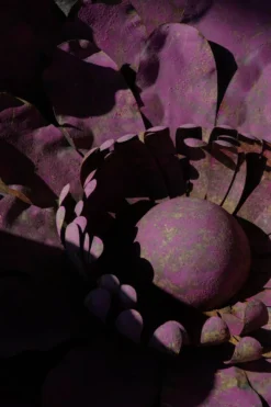 Grande décoration murale sculpturale de fleurs en métal, Belgique, milieu du 20e siècle, années 1960