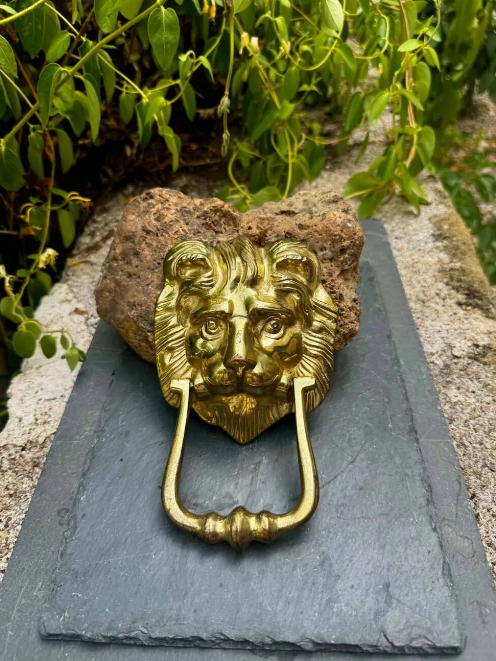 Grand heurtoir de porte lion en laiton massif Art Nouveau
