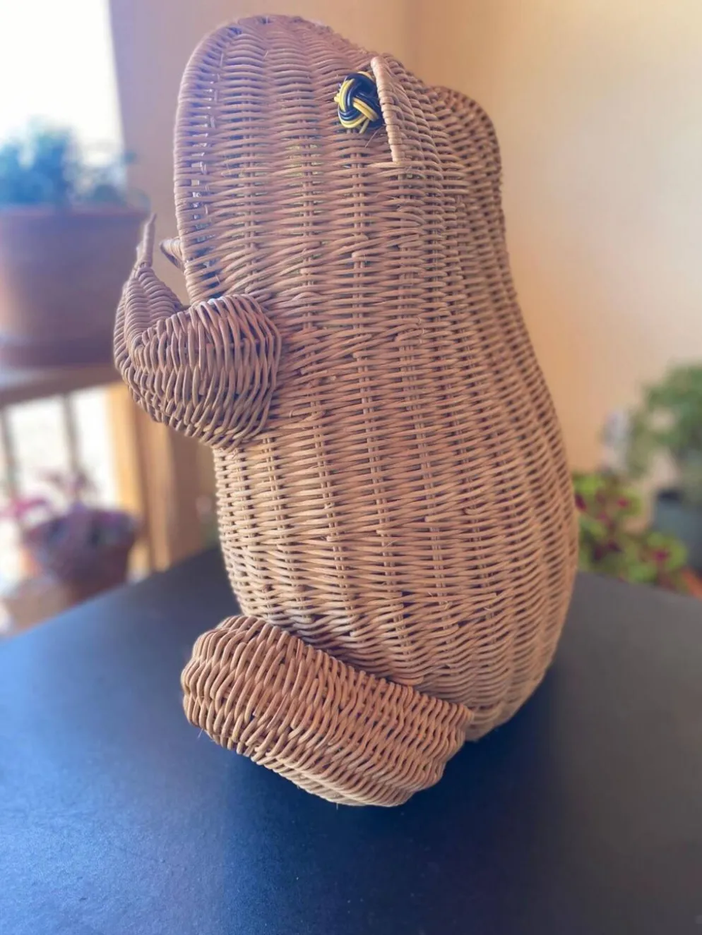 Grand porte-revues grenouille en rotin vintage 1970 — Tissu d'origine