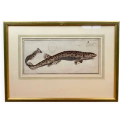 Gravure ancienne poisson – Ludwig Schmidt (XIXᵉ siècle)