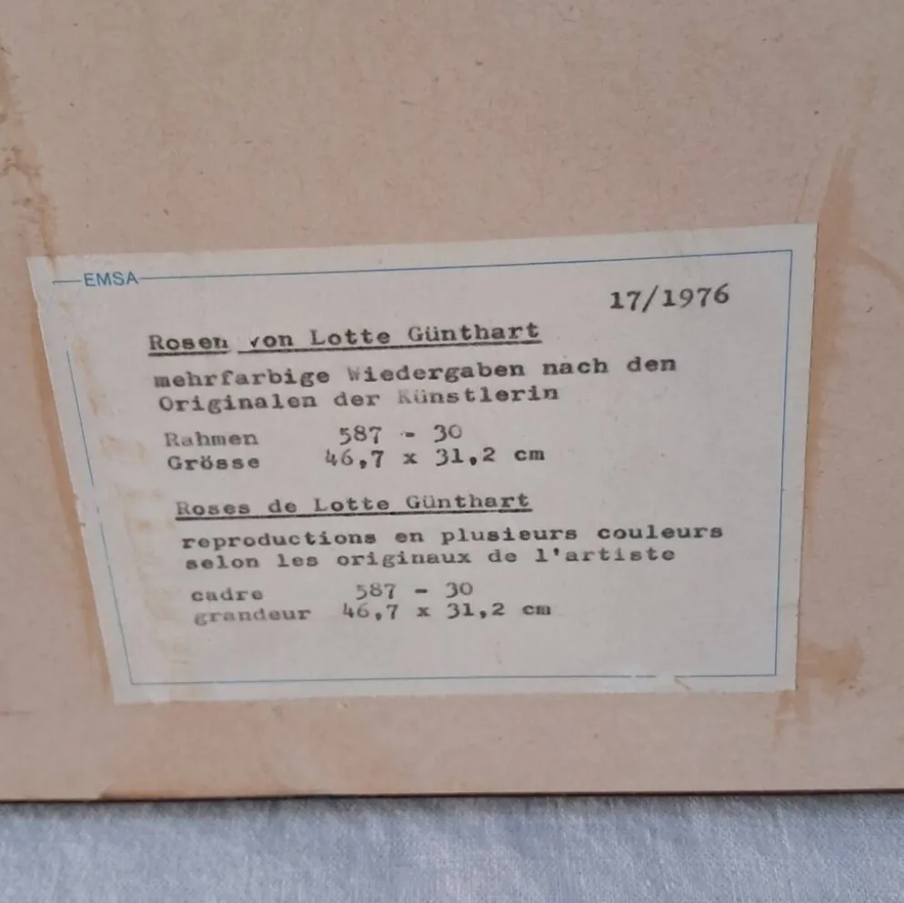 Gravure botanique cadre vintage « Rose Queen Elizabeth » par Lotte Gün