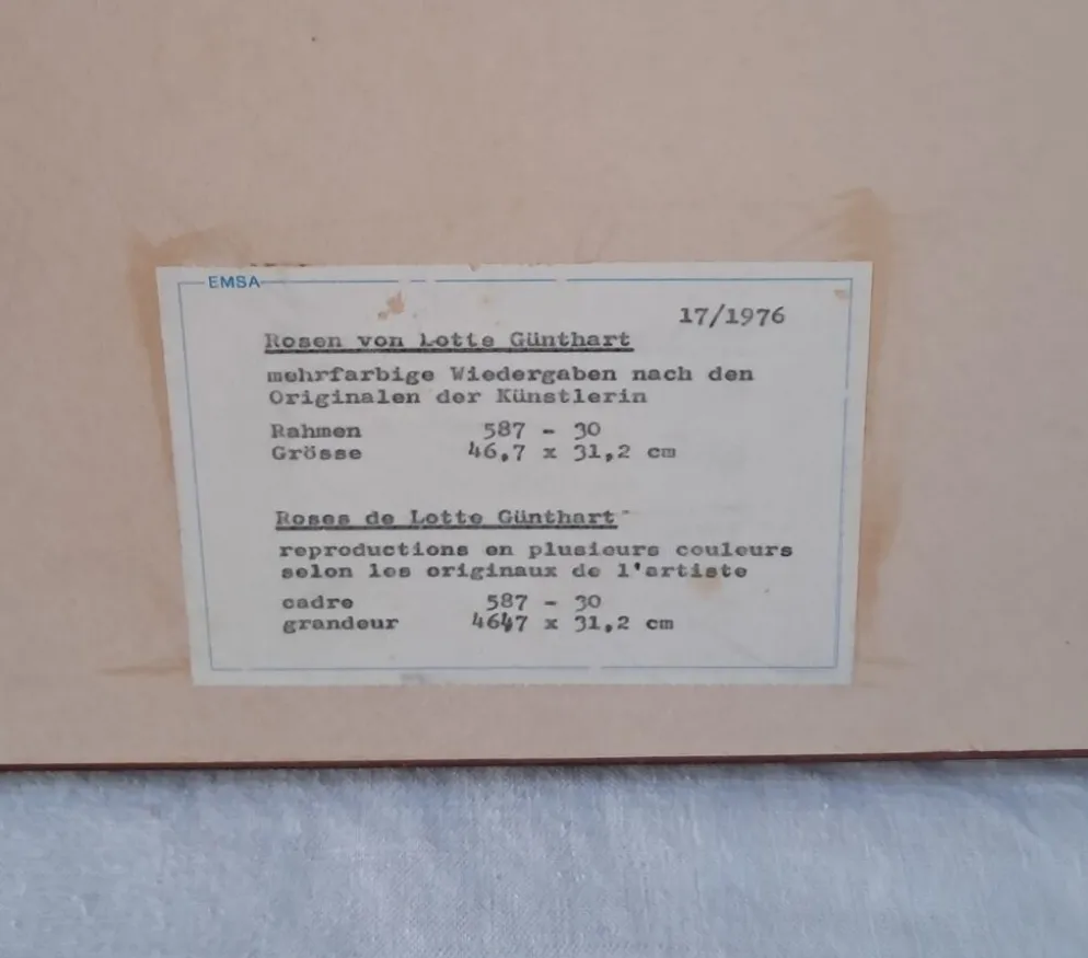 Gravure botanique encadrée — Rose Montezuma par Lotte Günthart, 1976