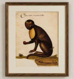 Impressions de l'histoire naturelle de la Renaissance, paire de fac-similés du Codex Pomar, années 1990.