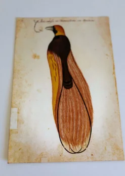 Impressions de l'histoire naturelle de la Renaissance, paire de fac-similés du Codex Pomar, années 1990.