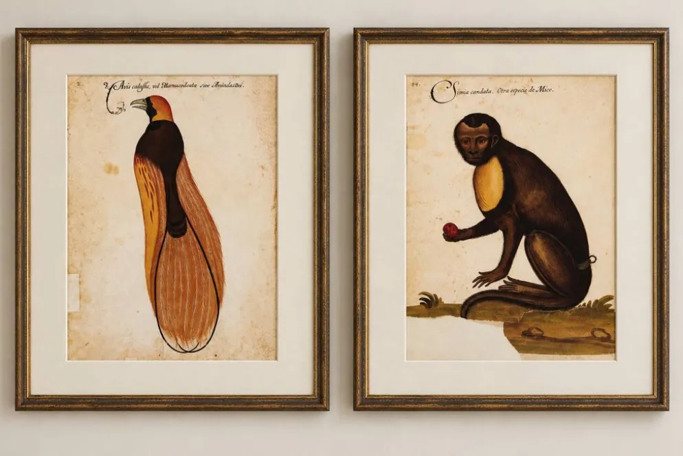 Impressions de l'histoire naturelle de la Renaissance, paire de fac-similés du Codex Pomar, années 1990.