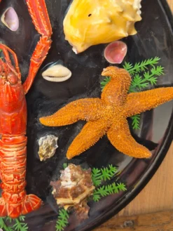 Insolite assiette murale vintage fruits de mer cabinet de curiosités