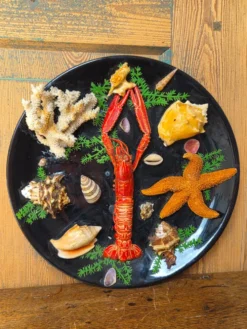 Insolite assiette murale vintage fruits de mer cabinet de curiosités
